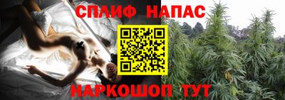 ГАЛЛЮЦИНОГЕННЫЕ ГРИБЫ Пенза