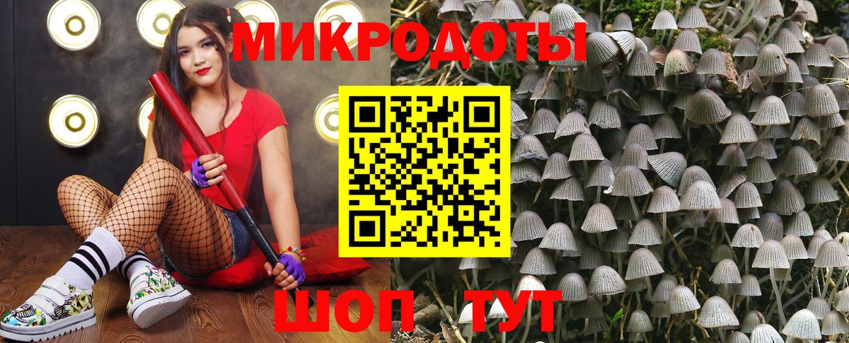 Псилоцибиновые грибы MAGIC MUSHROOMS Алушта