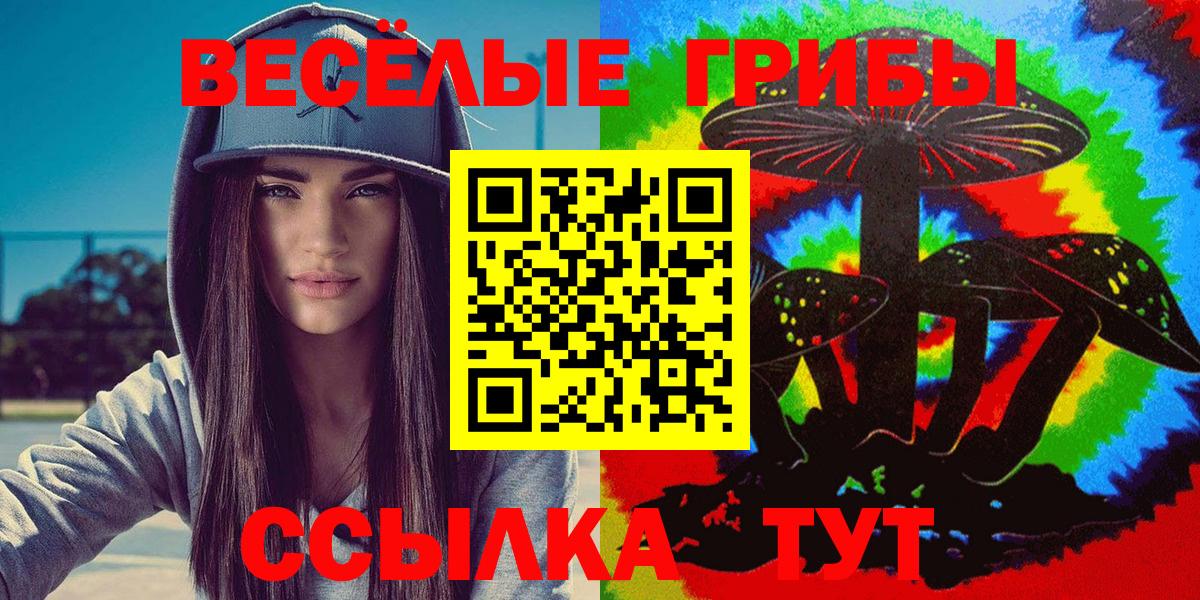 магазин продажи наркотиков  Псилоцибиновые грибы Cubensis  Алушта  Вход с VPN  Галлюциногенные грибы мицелий 